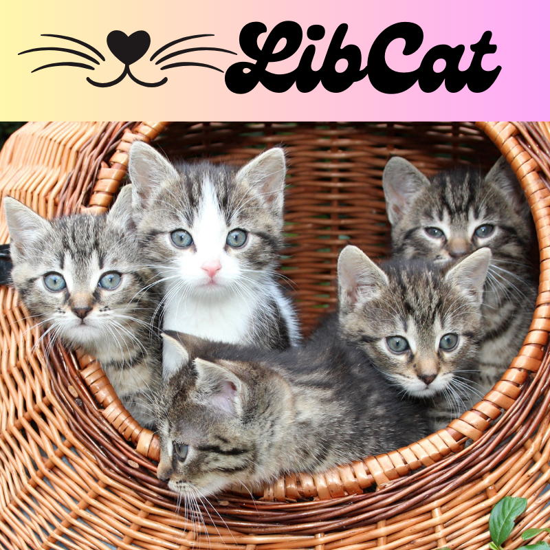 LibCat